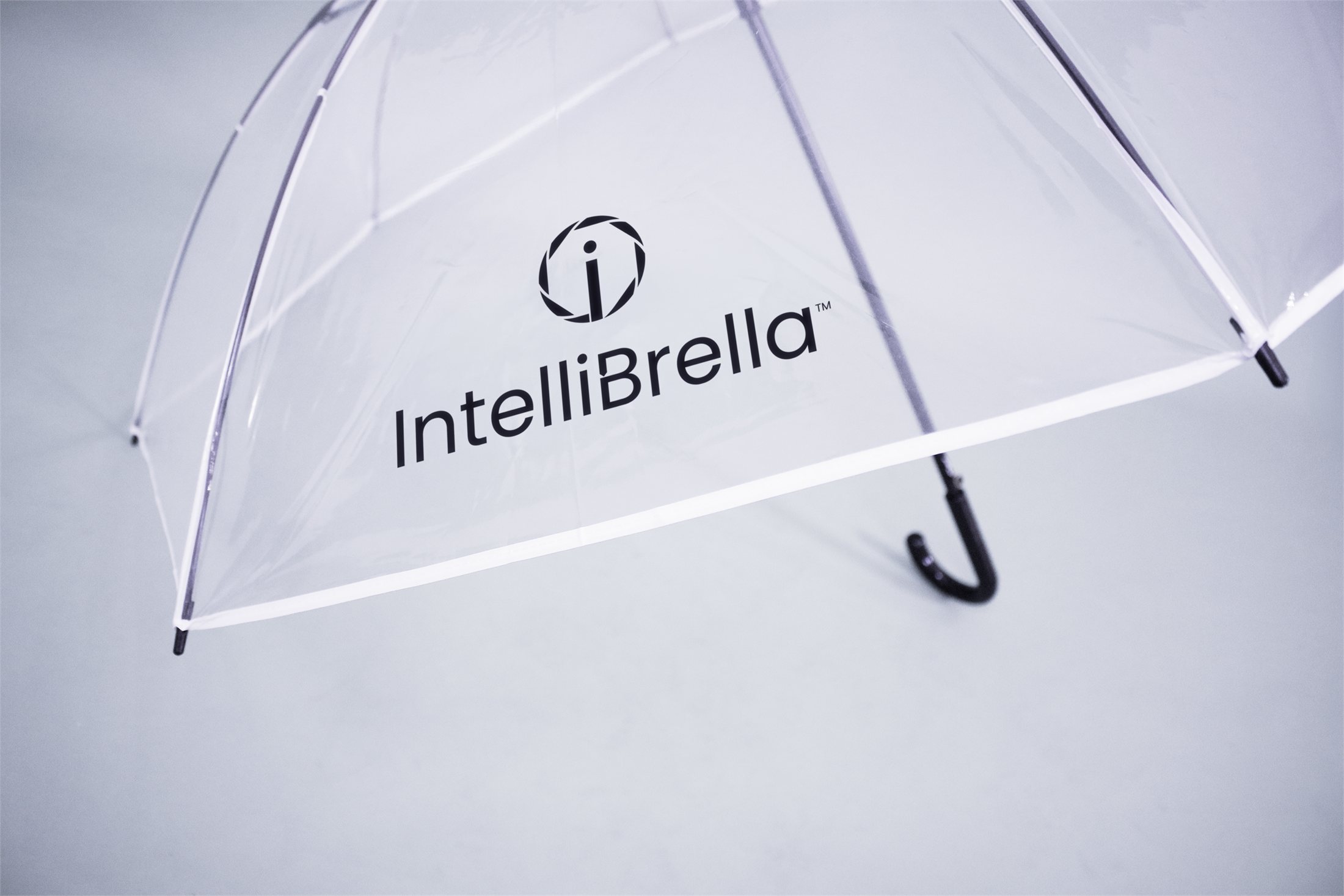 Wide view of the IntelliBrella&trade; canopy